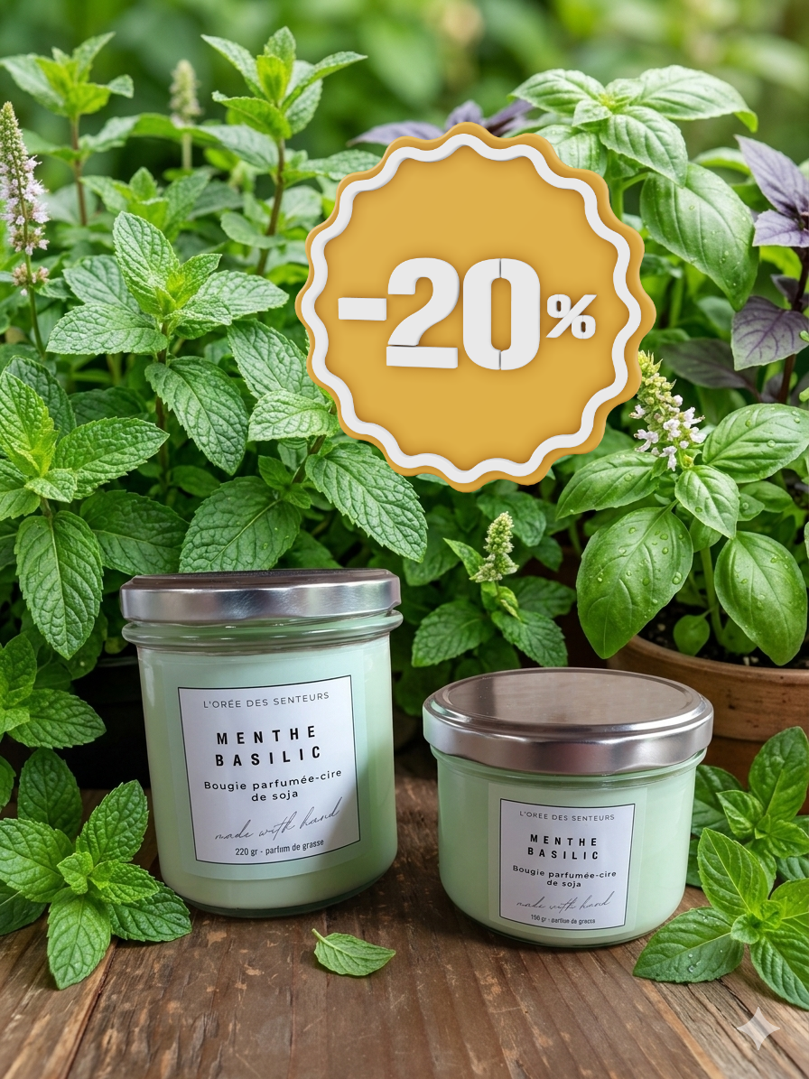 Menthe basilic - bougie parfumée à la cire de soja - L'orée des senteurs